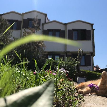 Apollon Hotel Bozcaada Bagian luar foto